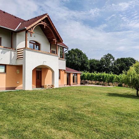Vinox Winery Villa Vinica Eksteriør billede